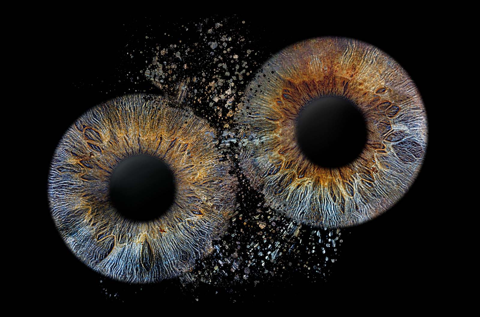 Iris fotografie aus Wiesbaden